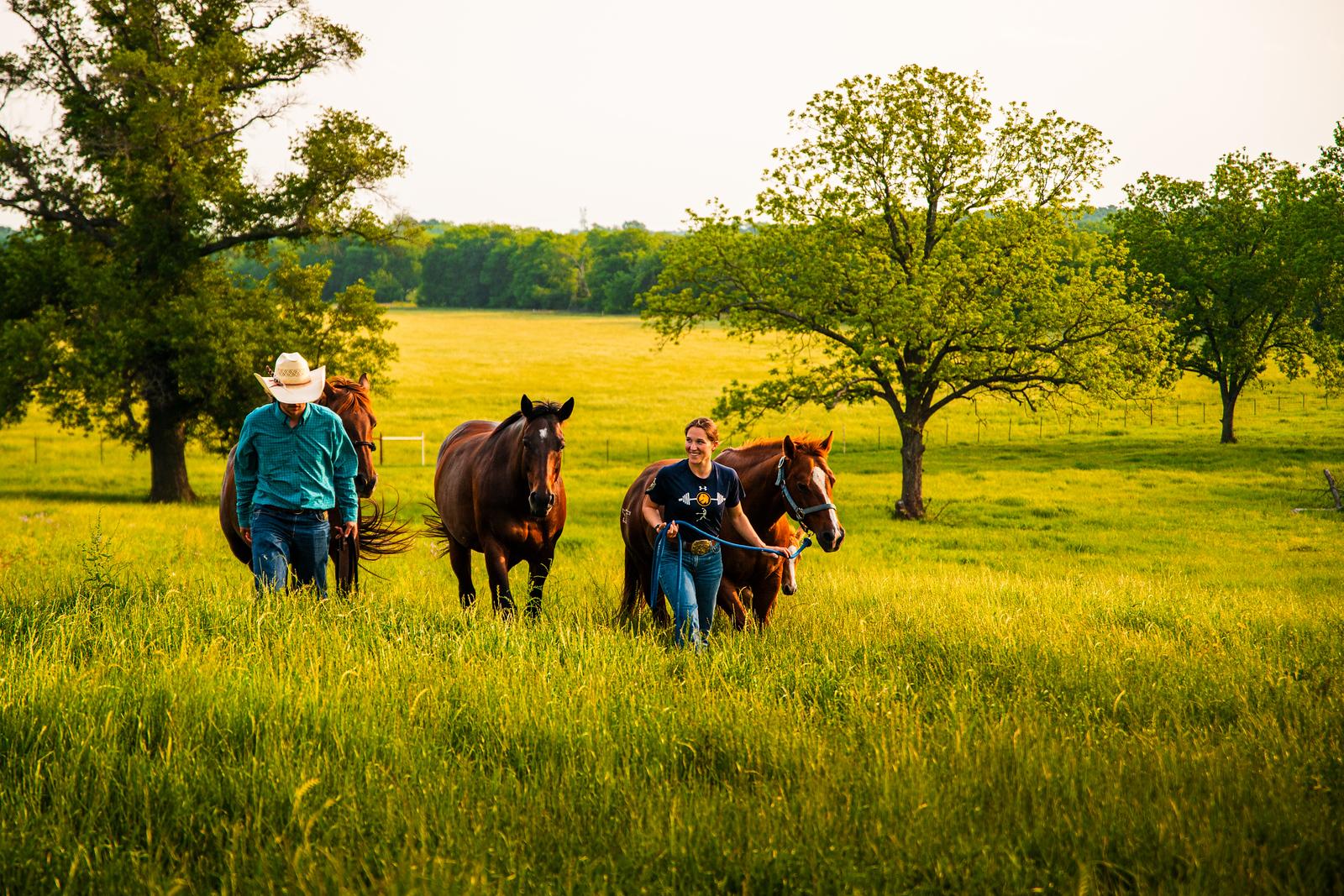 A female and male guiding horses in the pasture.